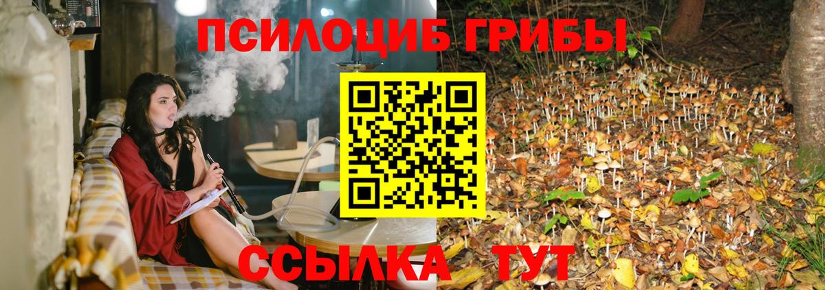 Псилоцибиновые грибы прущие грибы  Вход с VPN  Сертолово 